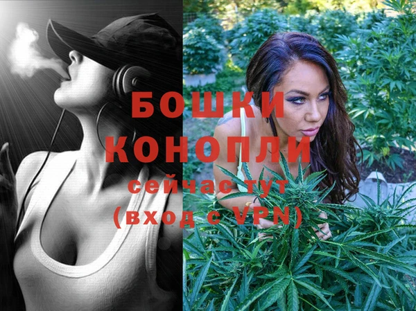 дживик Надым