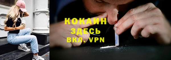 дживик Надым