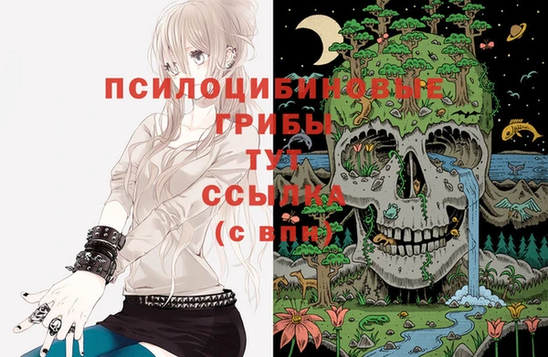 дживик Надым