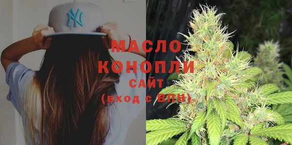 дживик Надым