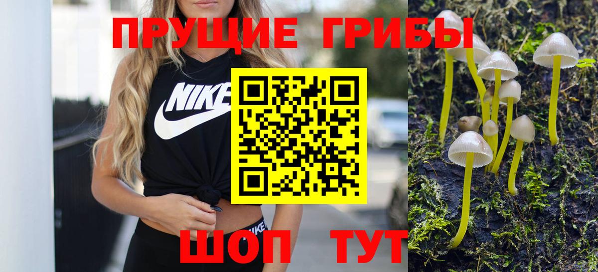 Псилоцибиновые грибы Psilocybe  Вход с VPN  Псилоцибиновые грибы MAGIC MUSHROOMS  купить наркотики сайты  Кизляр 