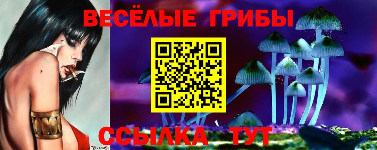 Альфа ПВП СК   Канабис  ГАШИШ  Амфетамин кристаллы  Кизляр  Вход с VPN  Мефедрон кристаллы  Кокаин  Меф МЯУ МЯУ 